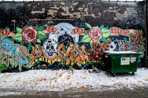 along the border of West Rogers Park and Rogers Park, Chicago, street art crams it's way into alleys.